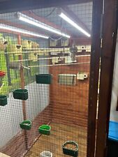 Beautiful indoor aviary for sale  RUNCORN