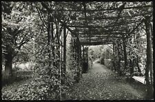 Gütersloh botanischer garten gebraucht kaufen  Wietzendorf