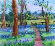 English landscape bluebells for sale  KIDDERMINSTER