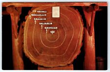 Redwood log section for sale  South Bend