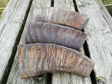 Buffalo horn hollow for sale  Shipping to Ireland