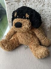 Dog cute fluffy for sale  PAIGNTON