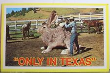 Texas big jack for sale  Wilmington