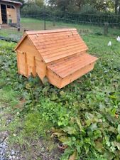 Skylight cottage chicken for sale  HUNGERFORD