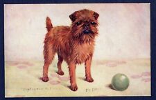 Brussels griffon spratts for sale  KEIGHLEY