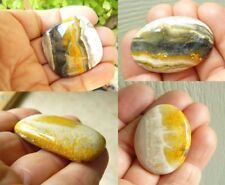 Bumble bee jasper for sale  Florence