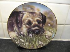 border terrier plate for sale  WELLINGBOROUGH