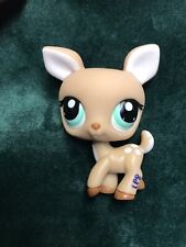 Petshop faon biche d'occasion  Cusset