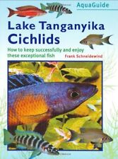 Tanganyika cichlids peter for sale  UK