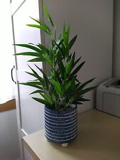 Faux artificial bamboo for sale  GLASGOW