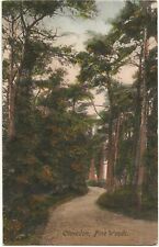 1919 vintage postcard for sale  SUTTON COLDFIELD