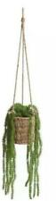 Hanging basket botanical for sale  BIRMINGHAM