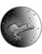 Gecko herpeton moneta usato  Italia