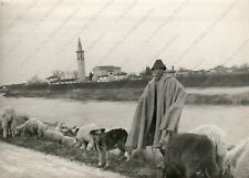 1950c mestre pastore usato  Cremona