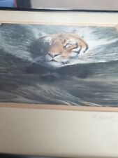 Mark chester tiger for sale  SUDBURY