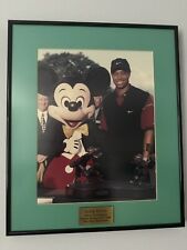 Tiger woods picture for sale  Charleston