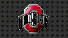 New osu buckeyes for sale  Nesquehoning