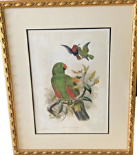 Gould 1875 eclectus for sale  Temecula