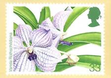 vanda orchids for sale vanda orchids for sale Canada