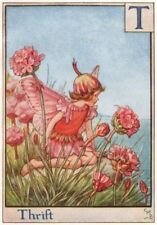 Thrift fairy cicely for sale  LONDON