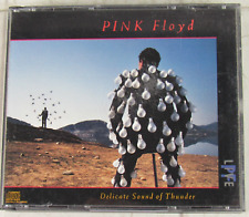 Pink Floyd, Delicate Sound of Thunder, Conjunto de 2 Discos, 1985, CD comprar usado  Enviando para Brazil