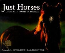 Horses living horses for sale  Boston