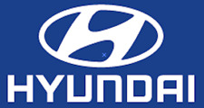 Chelsea hyundai arm for sale  Shipping to Ireland