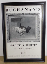 1927 Buchanan's Black & White Whisky enmarcado anuncio West Highland Terriers (b8t), usado segunda mano  Embacar hacia Argentina