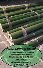 Canne bambù lunghezza usato  Italia