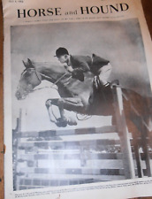 Vintage horse hound for sale  ALSTON