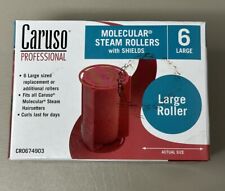 Paquete de 6 rodillos de pelo de vapor de repuesto molecular grande profesional Caruso, usado segunda mano  Embacar hacia Argentina
