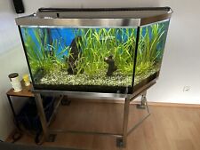 Aquarium 300 liter gebraucht kaufen  Jebenhsn.,-Bartenbach