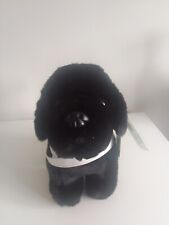 Black labrador soft for sale  Ireland