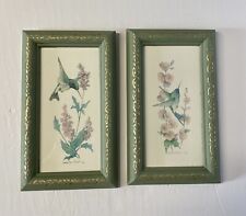 Set hummingbird prints for sale  Arcadia