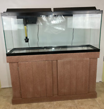 Gallon aquarium fish for sale  Sayreville