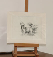 Otter hounds vintage for sale  HIGH WYCOMBE