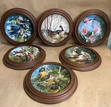 kevin daniel plates for sale  Santa Clarita