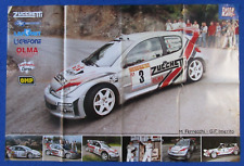 peugeot 206 wrc rally usato  Italia