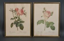 Gravures botaniques rosa d'occasion  Nantes-
