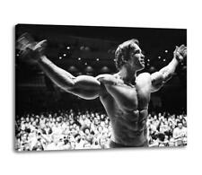 Arnold schwarzenegger canvas for sale  MANCHESTER