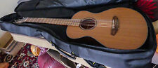 Breedlove discovery companion for sale  WASHINGTON