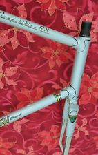 Raleigh competition bike for sale  Greenwood