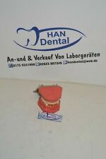 Schaumodell dental 1080 gebraucht kaufen  Ransbach-Baumbach