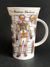 Dunoon human skeleton for sale  LONDON