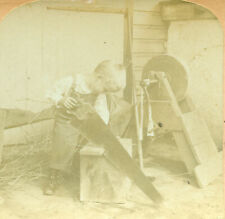 Stereoview photo hard for sale  Lewistown