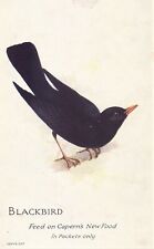 Capern 1920s blackbird for sale  Ireland