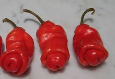 Peter pepper red for sale  Shipping to Ireland