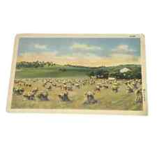 Postcard curteich country for sale  Maiden