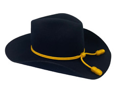 Renegade cavalry stetson for sale  KING'S LYNN