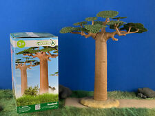 baobab tree for sale  Shipping to South Africa